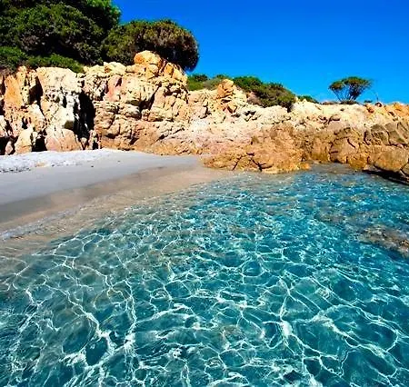 La Ginestra