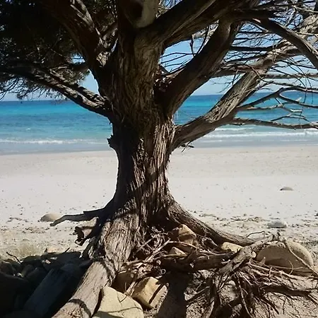 Landhuis La Ginestra