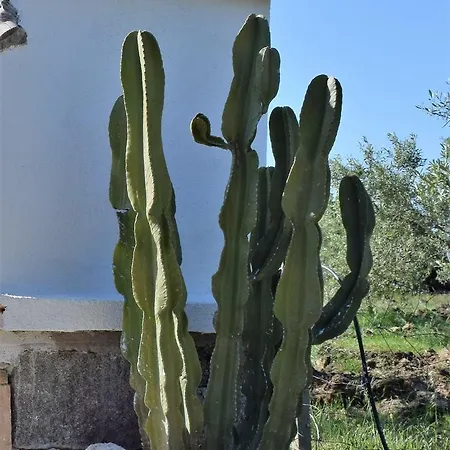 La Ginestra * Orosei