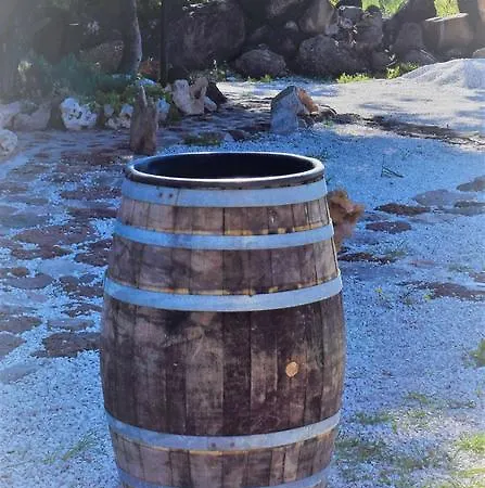La Ginestra *