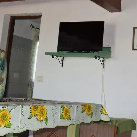 La Ginestra *