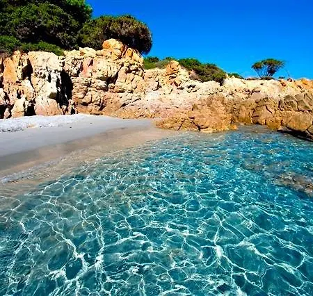 La Ginestra
