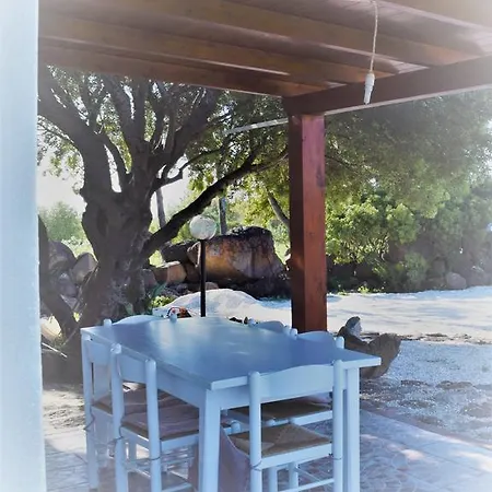 La Ginestra